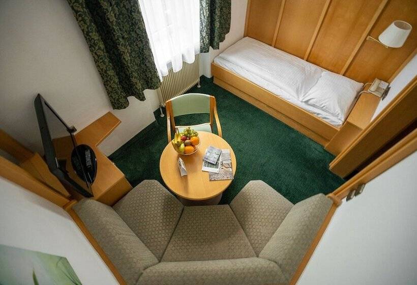 غرفة قياسية فردية, Sporthotel Am Semmering