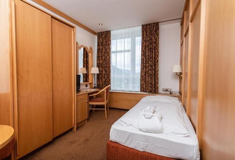 غرفة قياسية فردية, Sporthotel Am Semmering