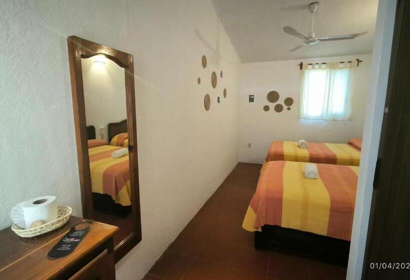 اتاق استاندارد چهار تخته, Casa Bugambilias