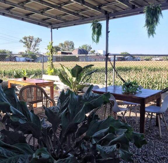 استودیو خانوادگی, Ina Rose Apartment And Transient