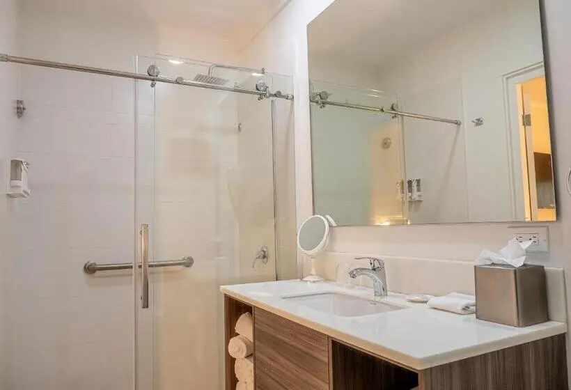 اتاق استاندارد با چشم‌انداز استخر, Aruba Boutique & Art Hotel, Bw Signature Collection Only Adults