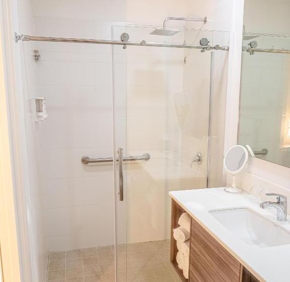 اتاق استاندارد با تخت بزرگ, Aruba Boutique & Art Hotel, Bw Signature Collection Only Adults