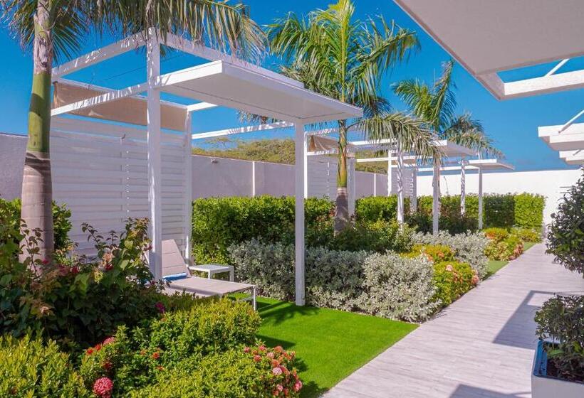 اتاق لوکس با تخت بزرگ, Aruba Boutique & Art Hotel, Bw Signature Collection Only Adults