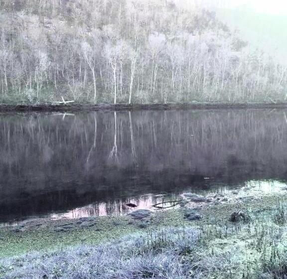 إستوديو قياسى, The Magnolia House