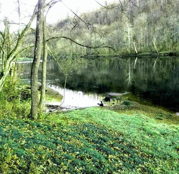 إستوديو ديلوكس, The Magnolia House