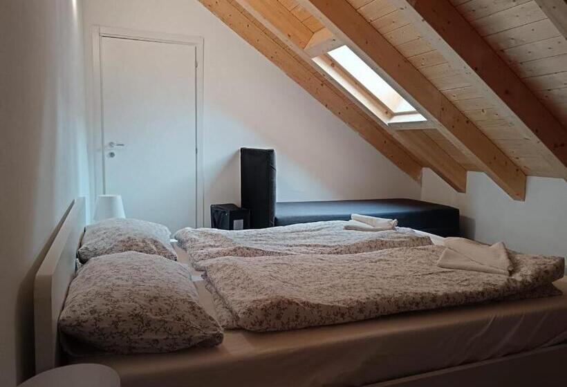 اتاق استاندارد با سرویس بهداشتی مشترک, Apartaments Claudia Augusta