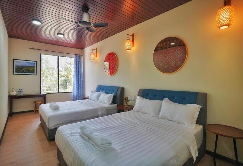 חדר משפחתי, Tranquera House