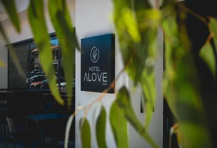 Suite with Terrace, Alove