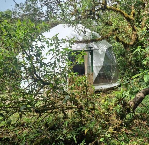 Номер Стандарт Вид на Горы, Refugio La Paz Ecoglamping