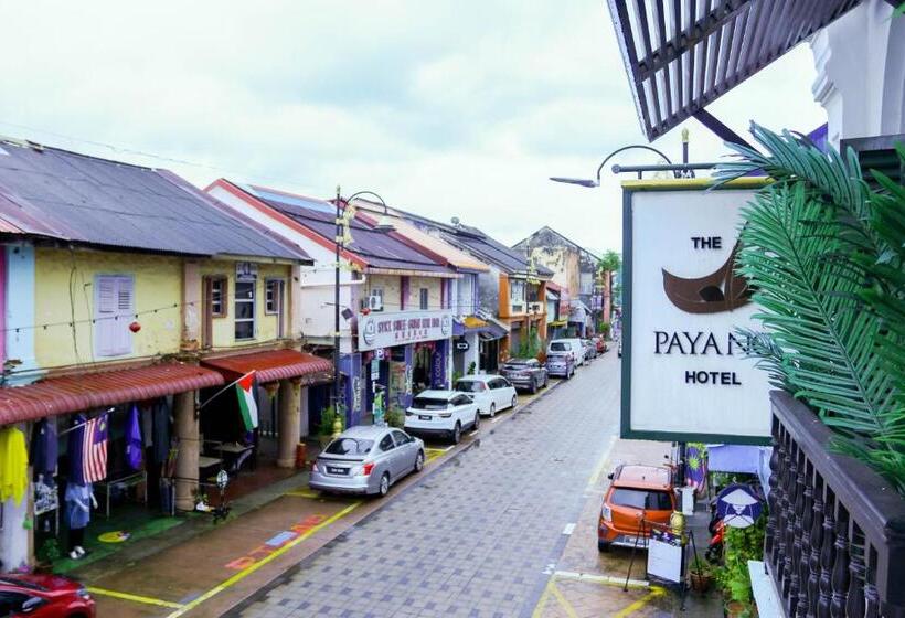 豪华房间, The Payang