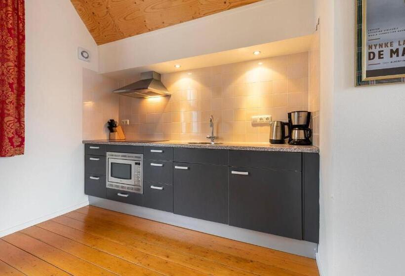 标准平房, Summio Havenresort Terherne