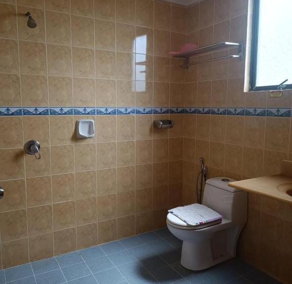 带大床的豪华间, Ambassador 2