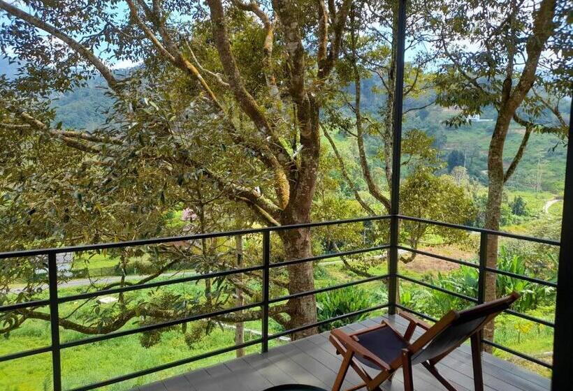 בקתת חדר, The Hill