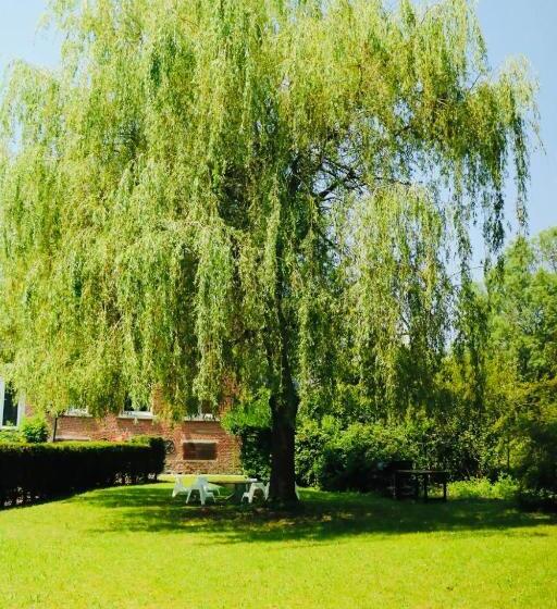 Студио Стандарт Вид на Сад, L Eveil