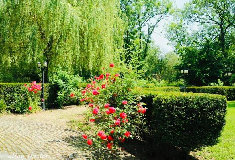 Студио Стандарт Вид на Сад, L Eveil