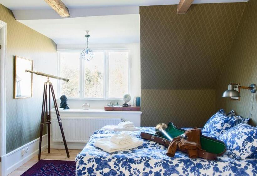 Номер Стандарт, Stelor