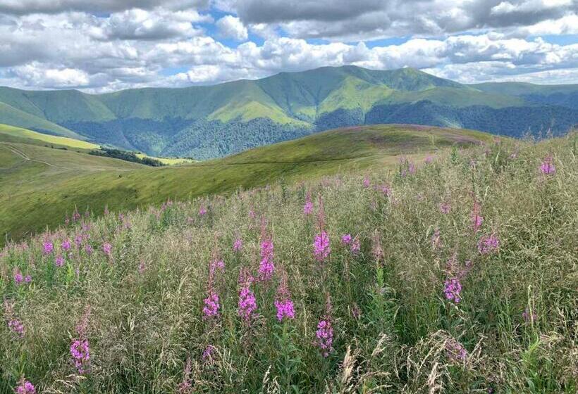 בקתת חדר, Sadyba U Vani