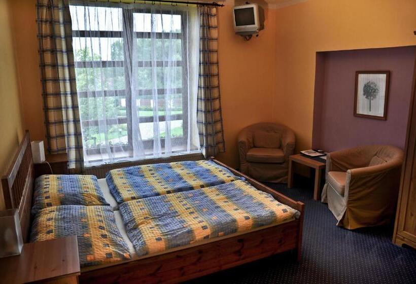 غرفة سوبيريور, Pension U Lípy