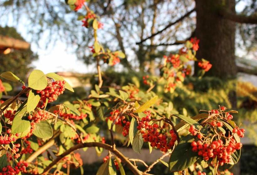 اتاق استاندارد, Appartamento  Nella Natura