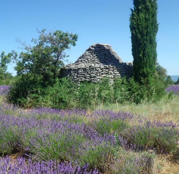 Номер Стандарт Вид на Бассейн, La Mordorée