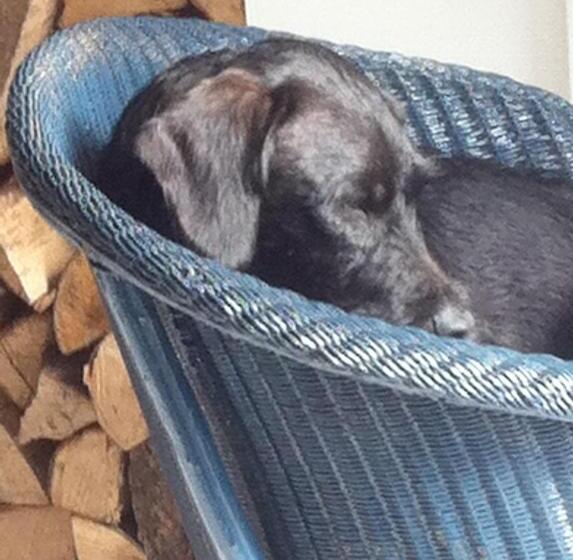 غرفة قياسية, Stone Street