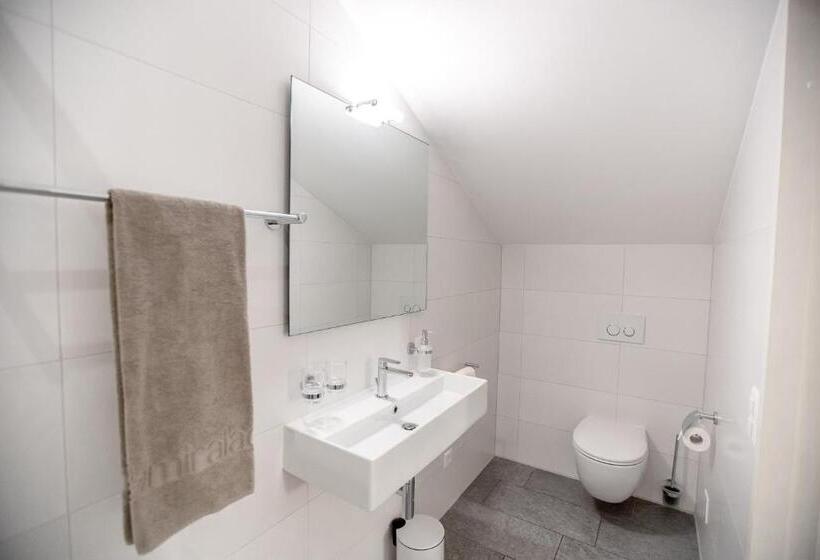 اتاق سوپریور یک تخته, Miralago Locarno Easy Rooms