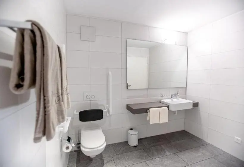 Superior-huone, Miralago Locarno Easy Rooms