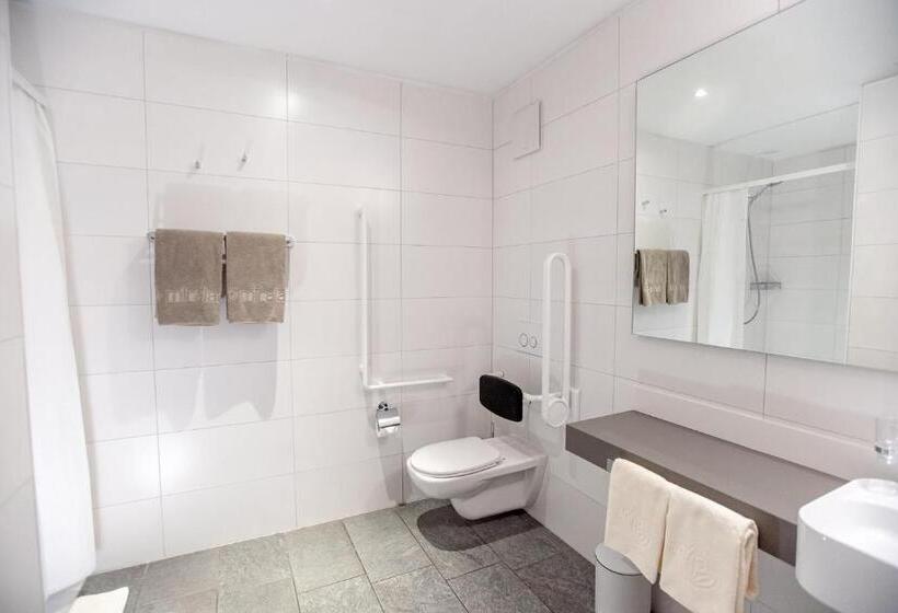 غرفة سوبيريور, Miralago Locarno Easy Rooms