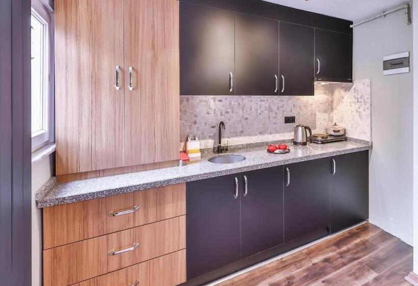 １ベッドルームアパートメント, Ongalata