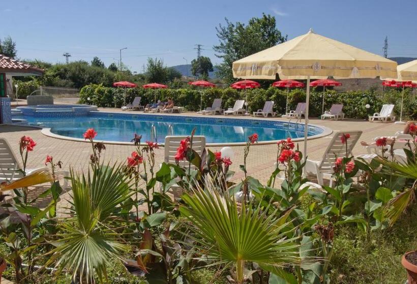 标准单人间, Stefanov 2