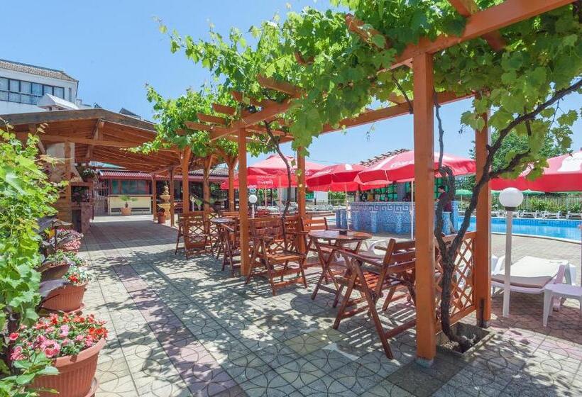 标准单人间, Stefanov 2