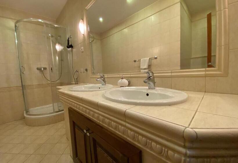 غرفة قياسية, Penzion Le Monde