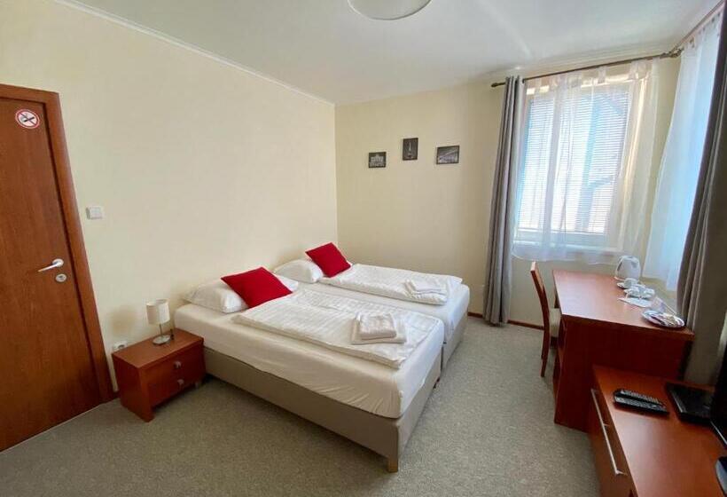 غرفة قياسية, Penzion Le Monde