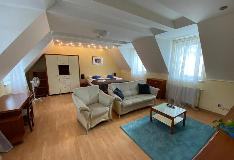 شقة غرفة واحدة, Penzion Le Monde