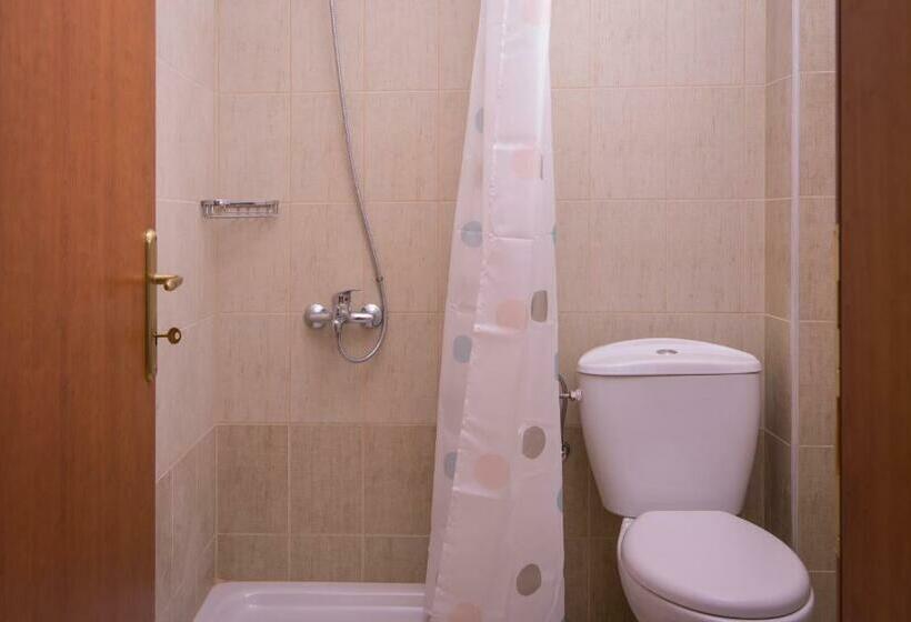 １ベッドルームアパートメント, Apanemia By Flegra Hotels