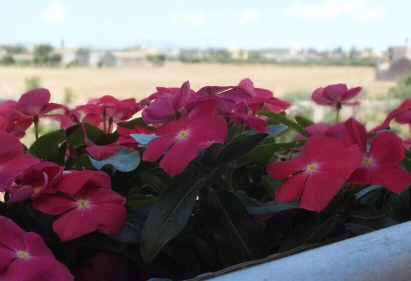 اتاق استاندارد, B&b Siciliantica