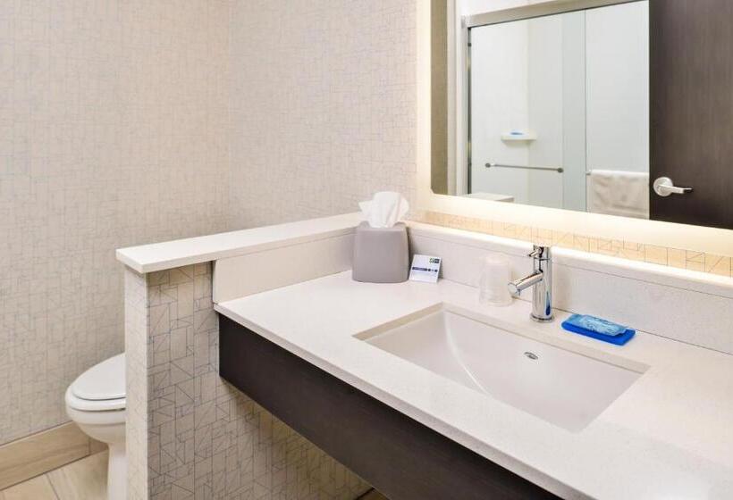 غرفة قياسية لذوى الاحتياجات الخاصة, Holiday Inn Express & Suites   Kansas City   Lee S Summit, An Ihg