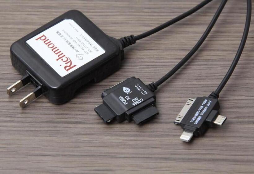 高级大房间, Richmond Hotel Premier Asakusa International