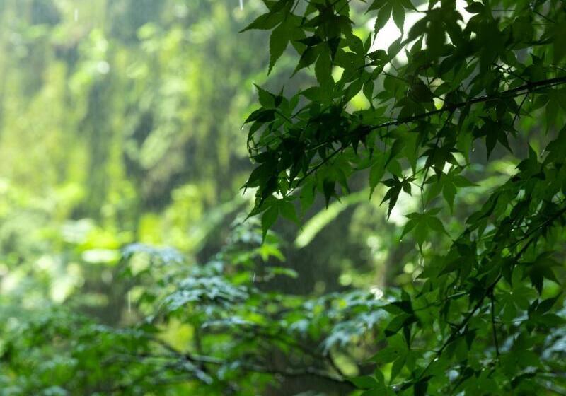 غرفة قياسية, Solaria Nishitetsu Hotel Kyoto Premier