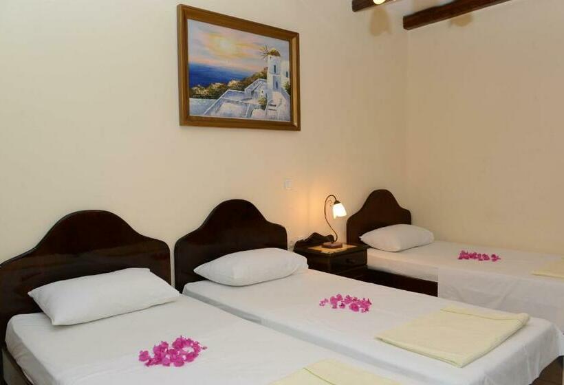 חדר סטודיו סטנדרד, Sun Of Mykonos Studios