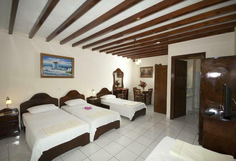 חדר סטודיו סטנדרד, Sun Of Mykonos Studios