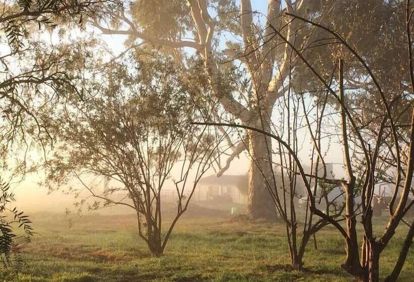 בונגלו משפחתי, Abington Farm