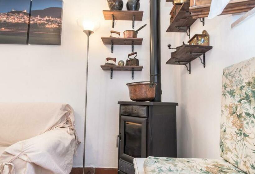 غرفة قياسية فردية, B&b Cantico Delle Creature