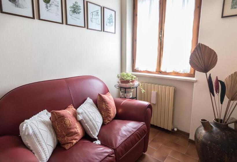 غرفة قياسية فردية, B&b Cantico Delle Creature