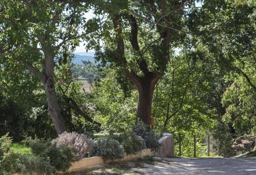 غرفة قياسية فردية, B&b Cantico Delle Creature