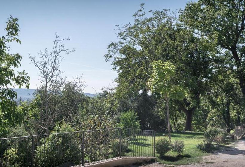 غرفة قياسية فردية, B&b Cantico Delle Creature