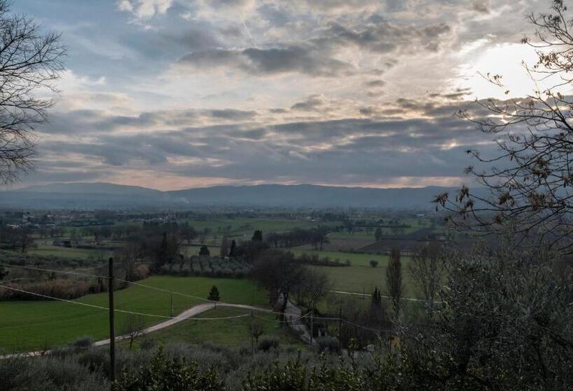 غرفة قياسية فردية, B&b Cantico Delle Creature