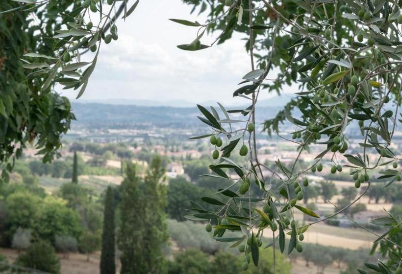 غرفة قياسية, B&b Cantico Delle Creature