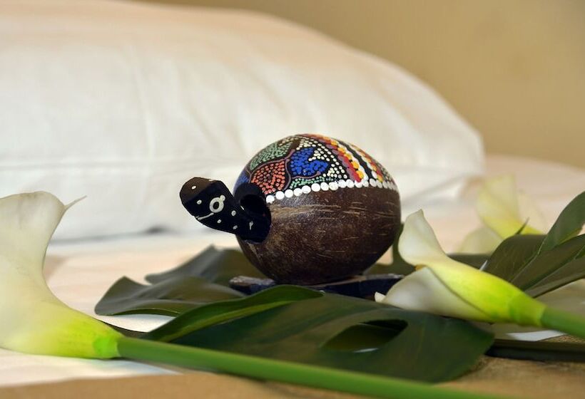 חדר סטנדרט יחיד, Voyage