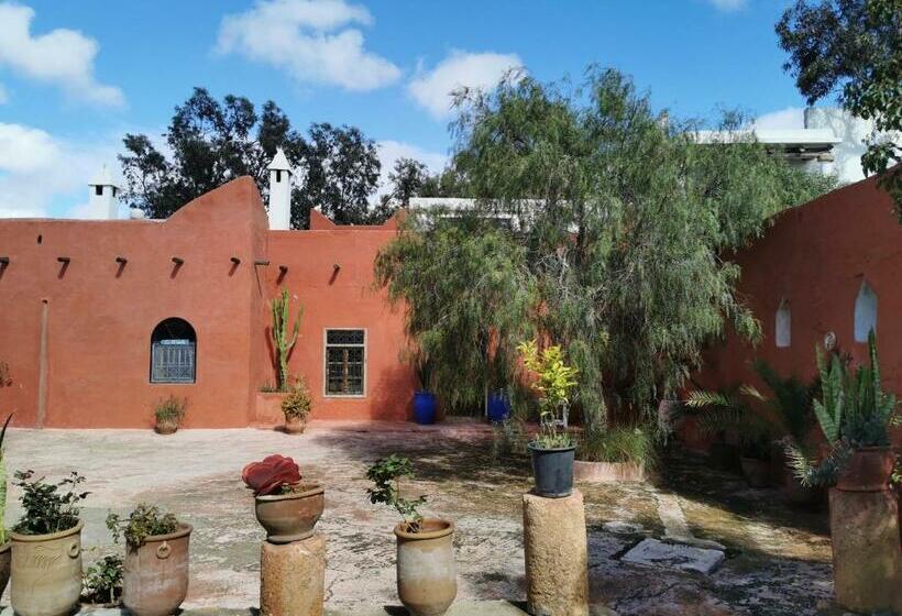 اتاق استاندارد, Riad Eucalyptus